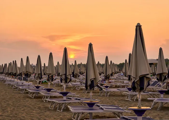 Elegant For A Stylish Bibione