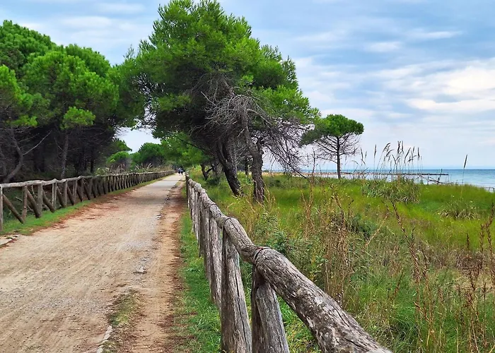 Elegant For A Stylish * Bibione